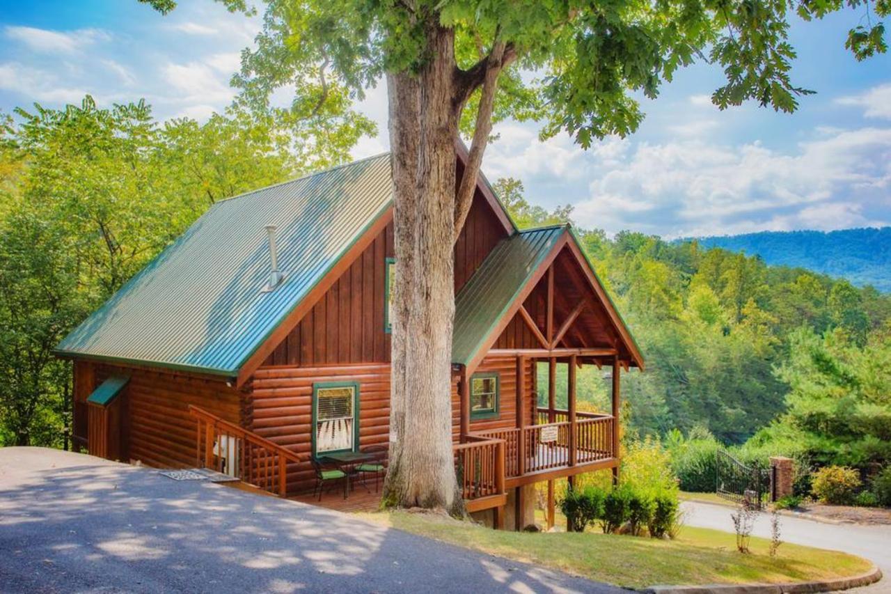 Vila Bear Climbing Getaway Pigeon Forge Exteriér fotografie